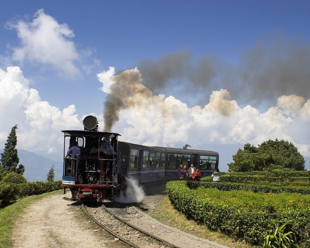 darjeeling