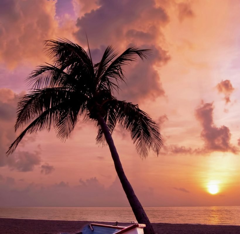 goa2