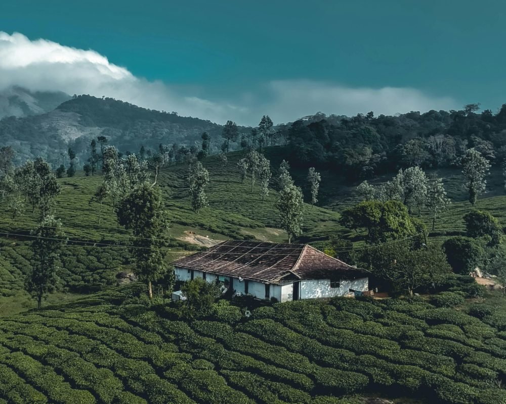 kerala2 kerala2